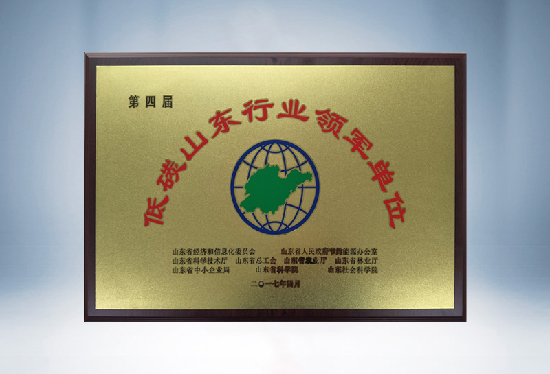 Low Carbon Shandong Industry Leader