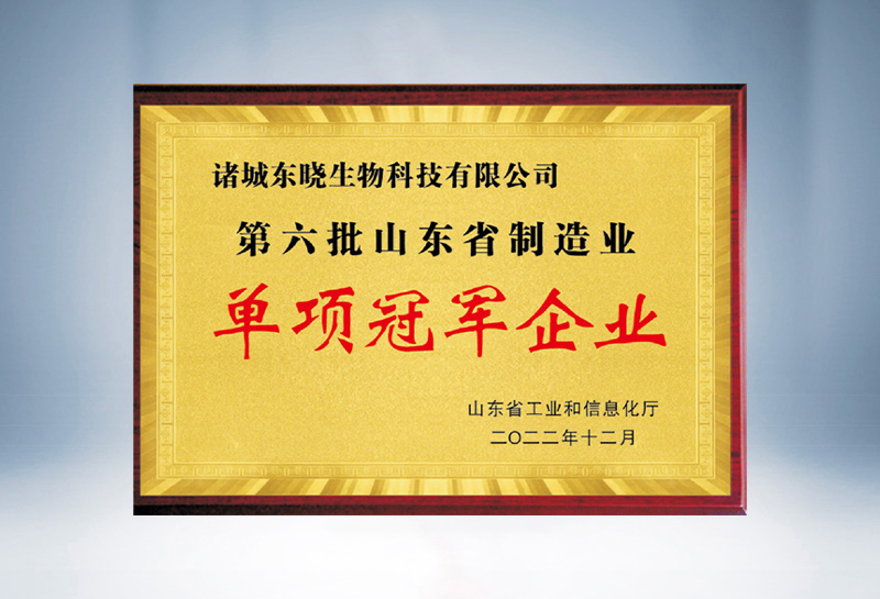 Shandong Province Manufacturing Industry Champion Enterprise