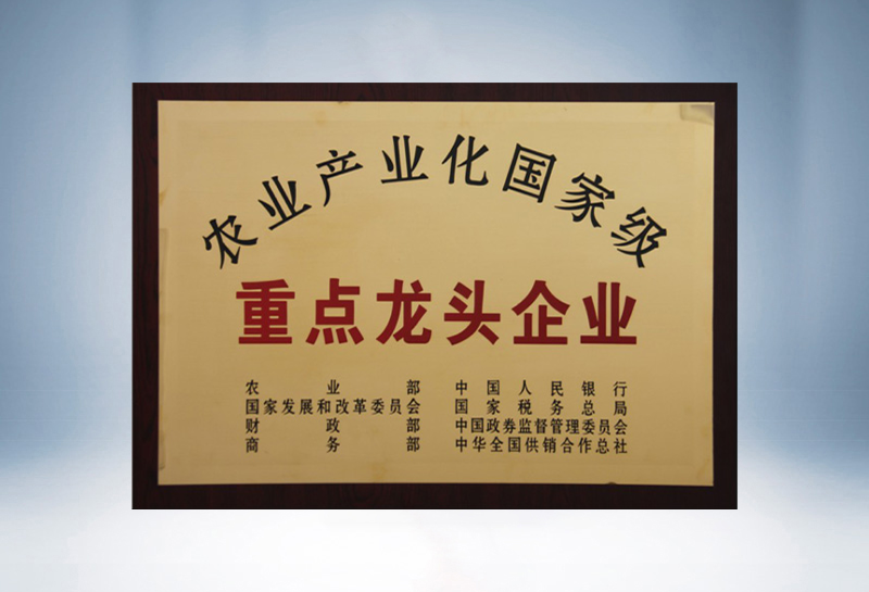 Key Leading Enterprise