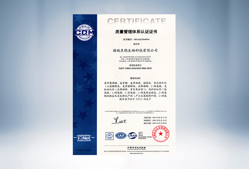 ISO 9001 Quality Management System Certification
