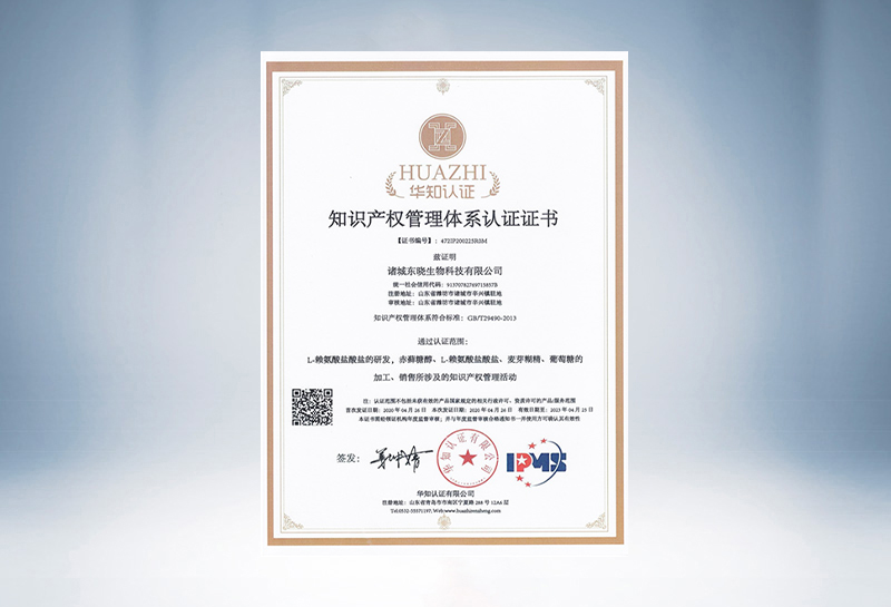 Dongxiao Intellectual Property Standardization