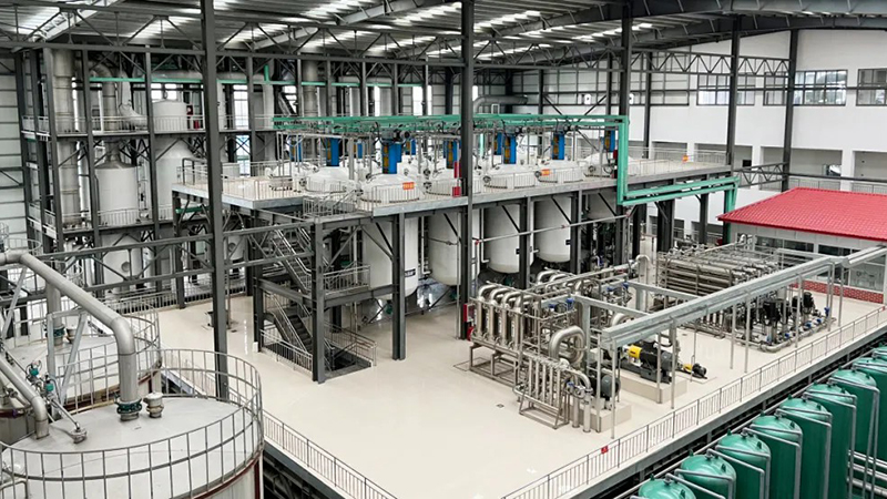 Good News | Dongxiao Biotechnology Wins Weifang City's 2025 Basic-Level Intelligent Factory Award