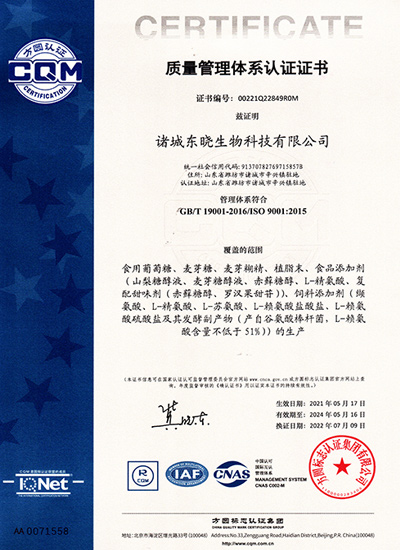 CN ISO9001 Certificate