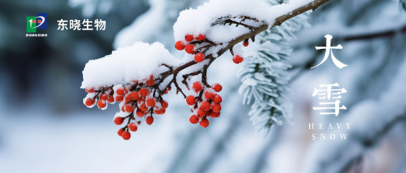 Todays snow | cold dont have rhyme, snow reflected guanghua(图1)